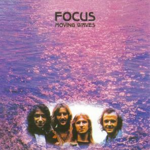 Focusii.jpg
